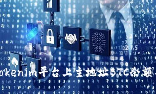 如何解决Tokenim平台上主地址BTC余额不足的问题