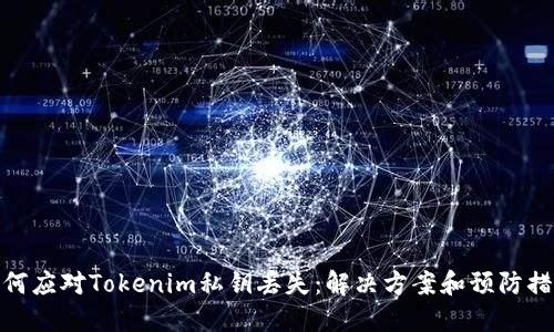 如何应对Tokenim私钥丢失：解决方案和预防措施