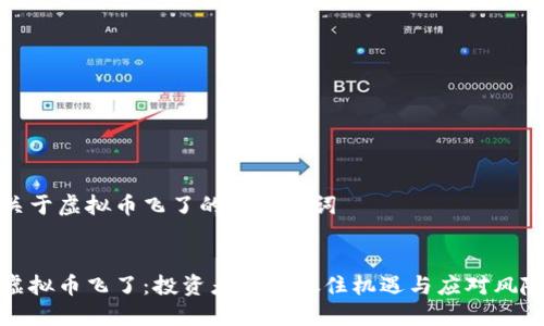 关于虚拟币飞了的和关键词


虚拟币飞了：投资者如何抓住机遇与应对风险