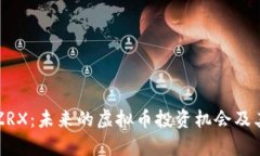 深入探讨ZRX：未来的虚拟