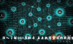: 深入了解HGS虚拟币：未来