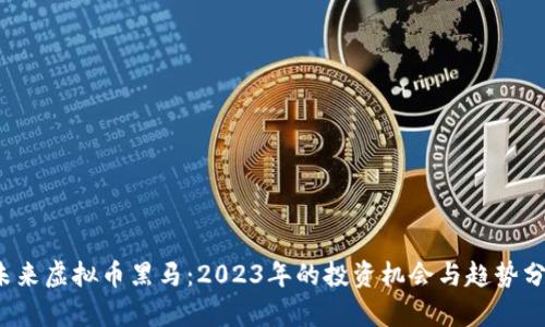  未来虚拟币黑马：2023年的投资机会与趋势分析