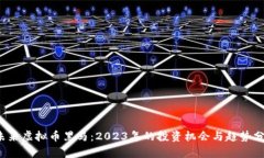  未来虚拟币黑马：2023年的