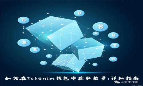 如何在Tokenim钱包中获取能量：详细指南