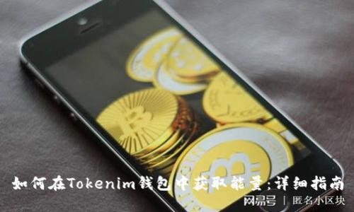 如何在Tokenim钱包中获取能量：详细指南