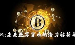 虚拟币SKM：未来数字货币