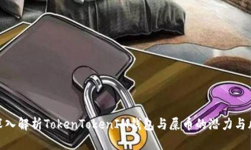 : 深入解析TokenTokenIM钱包与屎币的潜力与风险