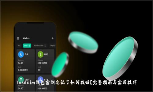 Tokenim钱包密钥忘记了如何找回？完整指南与实用技巧