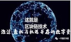 虚拟币泡沫：危机与机遇