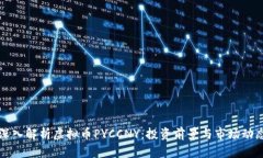 深入解析虚拟币PYCCNY：投