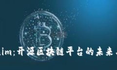 Tokenim：开源区块链平台的
