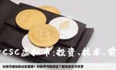 深入探讨CSC虚拟币：投资