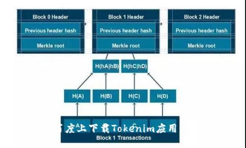 如何在百度上下载Tokenim应用：完整指南