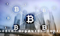虚拟币量子特工：揭秘区