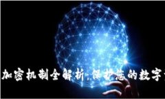 Tokenim加密机制全解析：保