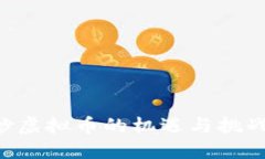 ### 国外炒虚拟币的机遇与