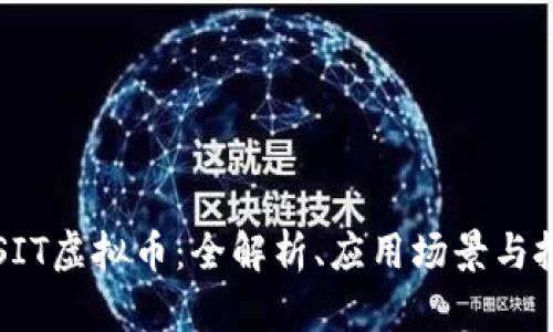 ### SIT虚拟币：全解析、应用场景与投资前景