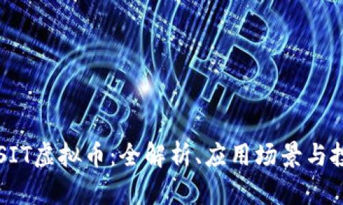 ### SIT虚拟币：全解析、应用场景与投资前景