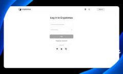 Tokenim ICO接收：全面解析及