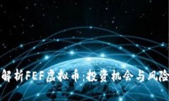 全面解析FEF虚拟币：投资