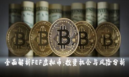全面解析FEF虚拟币：投资机会与风险分析