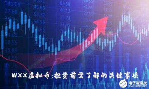 WXX虚拟币：投资前需了解的关键事项