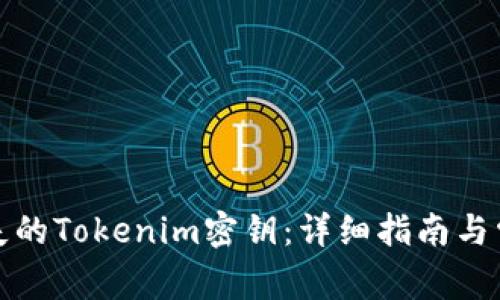 如何找回丢失的Tokenim密钥：详细指南与常见问题解答