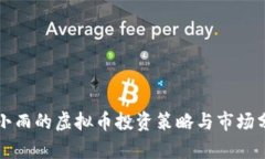 王小雨的虚拟币投资策略