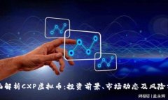 全面解析CXP虚拟币：投资