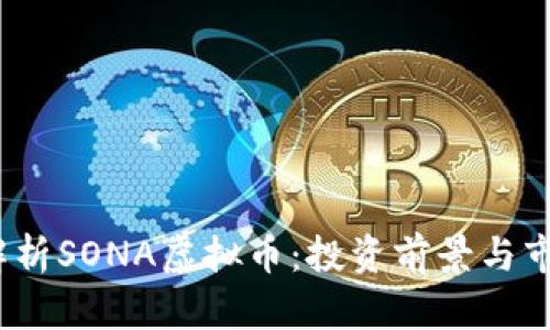 :全面解析SONA虚拟币：投资前景与市场分析