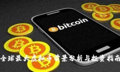 全球最大虚拟币前景分析
