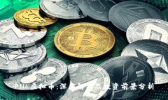 PNL虚拟币：深度解析及投资前景分析