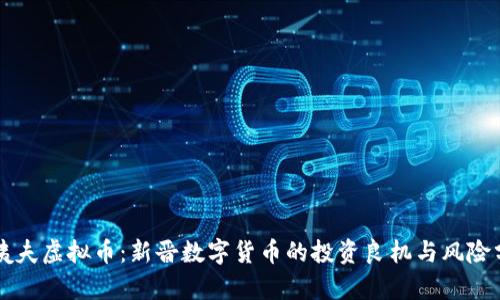 大姨夫虚拟币：新晋数字货币的投资良机与风险分析