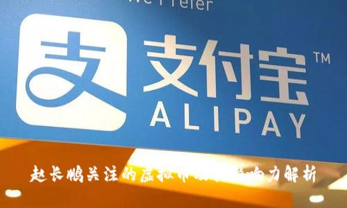 赵长鹏关注的虚拟币及其影响力解析