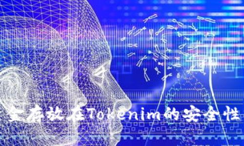 将资金存放在Tokenim的安全性分析