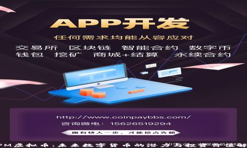 
XPM虚拟币：未来数字货币的潜力与投资价值解析