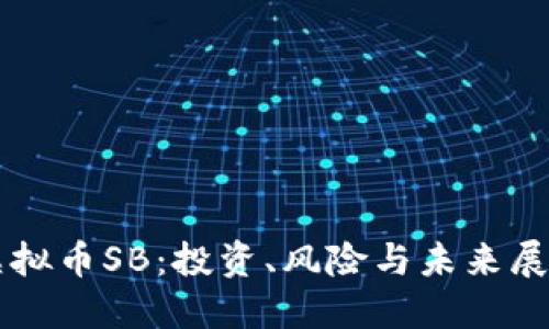 虚拟币SB：投资、风险与未来展望