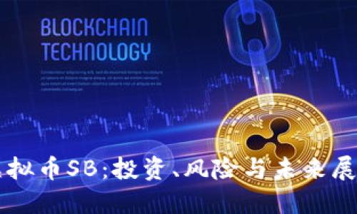 虚拟币SB：投资、风险与未来展望