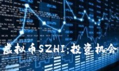 : 深度解析虚拟币SZHI：投资机会与风险分析