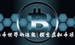 游走在虚拟币世界的边缘：探索虚拟币项目网的