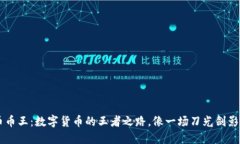 虚拟币币王：数字货币的王者之路，像一场刀光