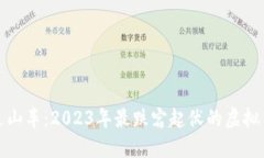 如同过山车：2023年最跌宕起伏的虚拟币揭秘