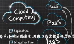 “比奇币：如同一颗新星，璀璨但尚需探寻的虚