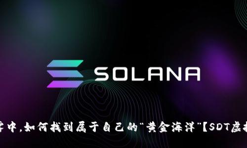 在投资的迷雾中，如何找到属于自己的“黄金海洋”？SDT虚拟币探秘之旅