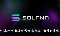 GMS虚拟币：数字时代的“金钥匙”，打开财富之