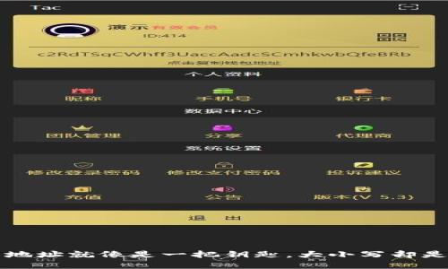 虚拟币钱包地址就像是一把钥匙，大小写却是门锁的秘密