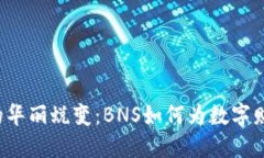 “虚拟币的华丽蜕变：BNS如何为数字财宝铺路？