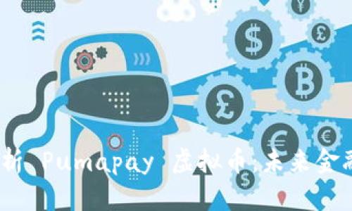 题目：全面解析 Pumapay 虚拟币：未来金融的创新之路