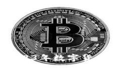 AYC虚拟币：2023年数字货币市场中的新星