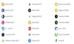 和关键词探索新兴虚拟币：详解币尔格币的潜力